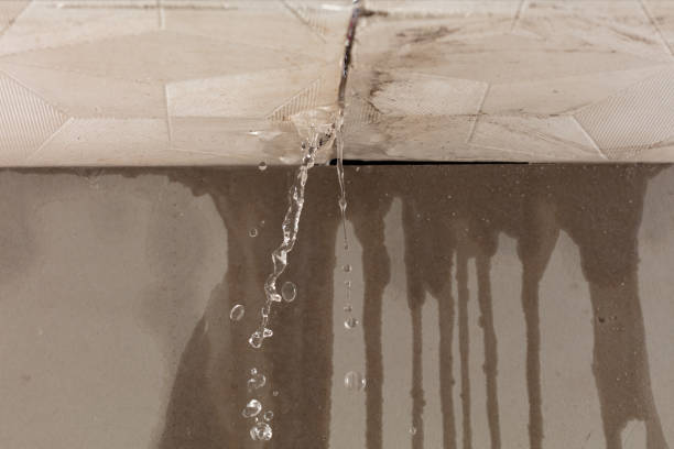 Professional Water Damage Repair technician working in Fairchild Air Force Base, WA